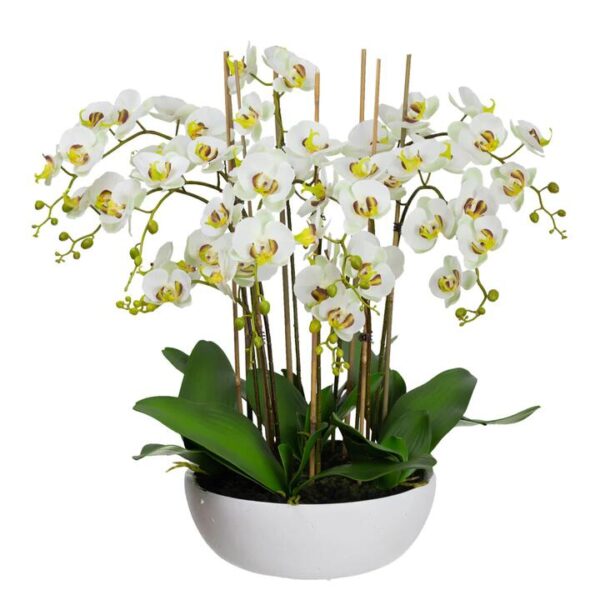 Glamorous Fusion Apple Green Phal Orchid White Artificial Faux Plant Decorative Arrangement In Pot