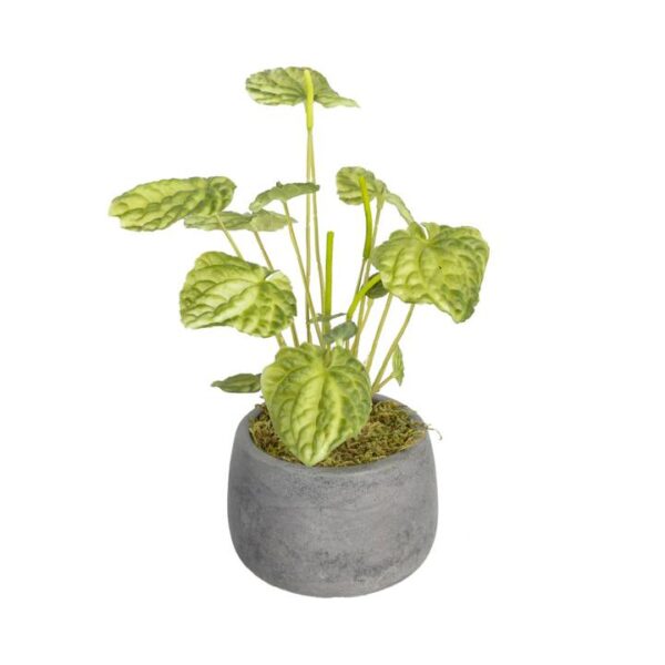 Glamorous Fusion Green Begonia Bush Artificial Faux Plant Decorative 20cm In Pot