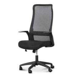 Janna Mesh Office Chair - Black by Interior Secrets - AfterPay Available