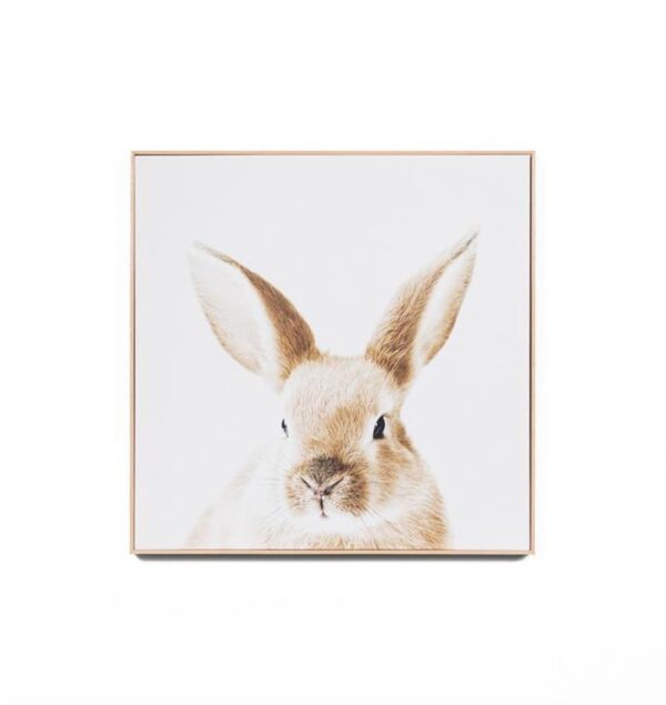 Lovable Bunny Framed Canvas Wall Art Print by Interior Secrets - AfterPay Available
