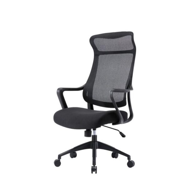 Lyman Mesh Ergonomic Office Chair - Black by Interior Secrets - AfterPay Available
