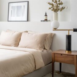 Lyocell Duvet Cover Set (100% TENCEL ) | TENCEL Quilt Cover with Pillow Case King / Sand Taupe
