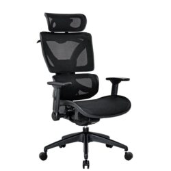 Maestro Furniture RISCHE Mesh Ergonomic Filpped Armrest Adjustable Executive Office Computer Chair - Black