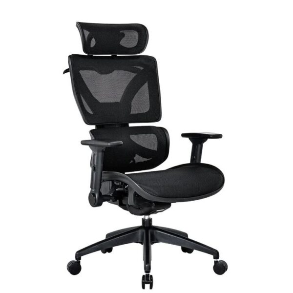Maestro Furniture RISCHE Mesh Ergonomic Filpped Armrest Adjustable Executive Office Computer Chair - Black