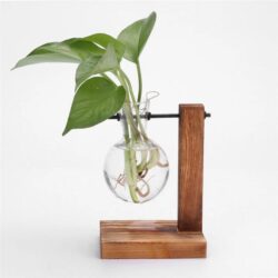 NNEOBA Glass and Wood Vase Planter Terrarium Table Desktop Hydroponics Plant Bonsai Flower Pot Hanging Pots with Wooden Tray Home Decor