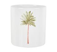 Palm Pot Plant Green