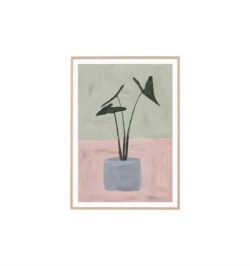 Plant Study II Wall Art Print by Interior Secrets - AfterPay Available