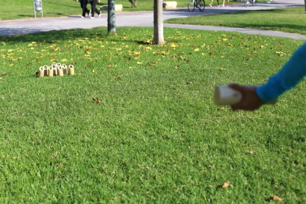 Regent Number Toss Game - Great Backyard Throwing Game