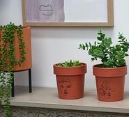 Set Of 2 Line Art Plant Pots Terracotta