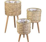 Set Of 3 Biankita Pot Plants Neutral