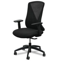 Shadow Ergonomic Office Chair - Black by Interior Secrets - AfterPay Available