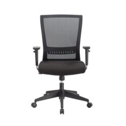 Shirley Mesh Ergonomic Office Chair - Black by Interior Secrets - AfterPay Available