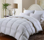 Royal Comfort Bamboo Rich Super King Quilt White