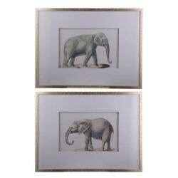 "Asian & African Elephant" 2 Piece Framed Wall Art Print Set, 80cm