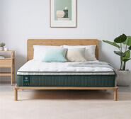 Deepsleep Queen Mattress White Single