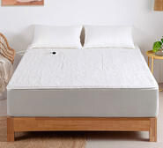 Dreamaker 350 Gsm Fleece Top Electric Throw Blanket Neutral Queen