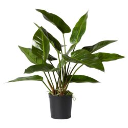Elme Potted Deluxe Artificial Anthurium Plant, 70cm