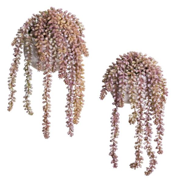 Glamorous Fusion 2 Piece Potted Artificial Hanging Pearls Plant Set, 35/38cm, Purple