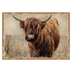 Highland Cattle Photography Stretched Hessian Canvas Wall Art Print, 100cm