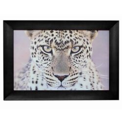"Leopard Portrait " Framed Wall Art Print, 110cm