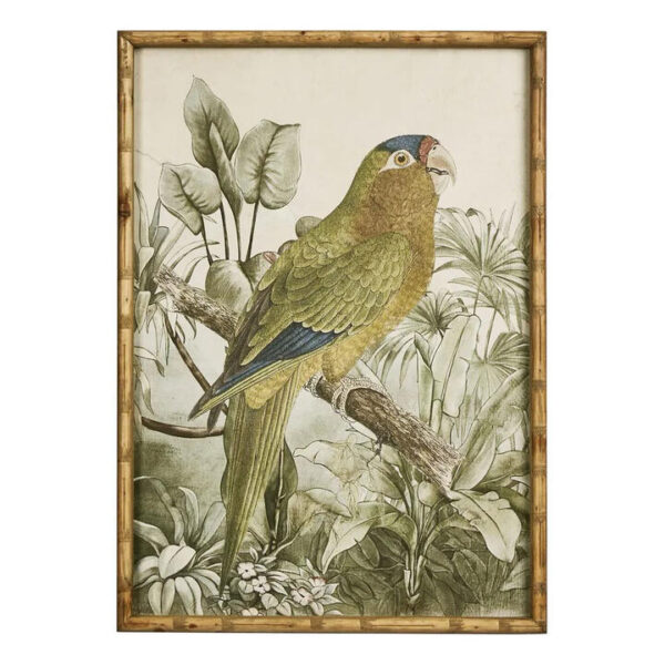 "Parrot in Jungle" Timber Framed Wall Art Print, Type A, 70cm
