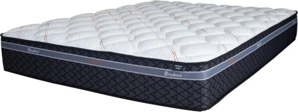 Sleepyhead Chiropractic Equalise Plush Long Single Mattress