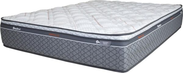 Sleepyhead Chiropractic HD Orientate Medium Queen Mattress