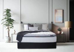 Sleepyhead Chiropractic HDX Regulate Plush King Single Bed