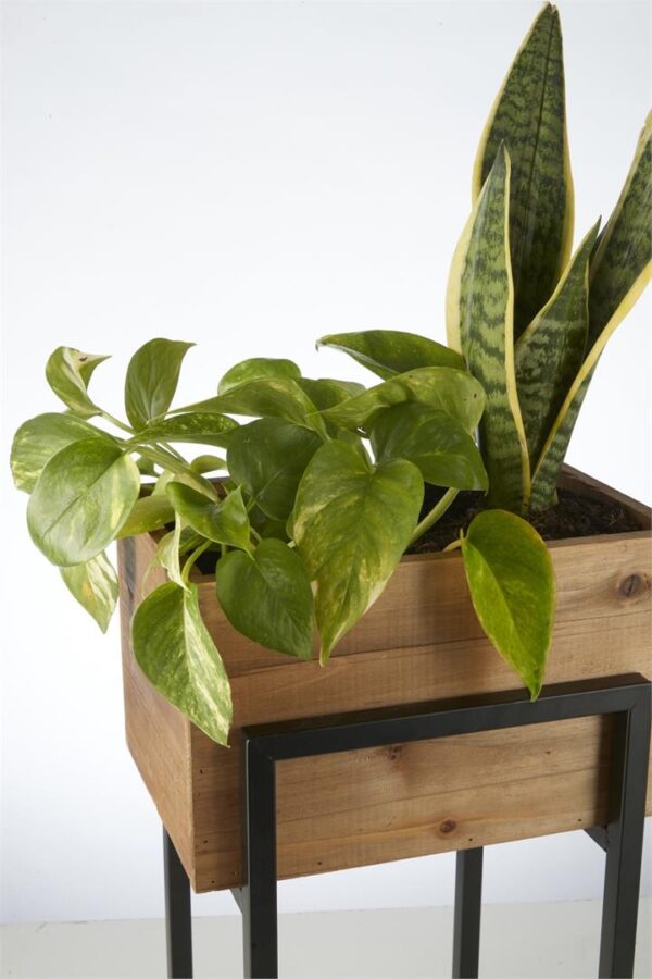 Timber Twin Plant Stand