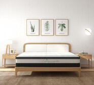 Osteopedic Double Medium Mattress White