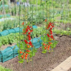 Costway2-in-1 Plant Cage and Supports for Climbing Vines Flowers Potted Plants Vegetables Fruits
