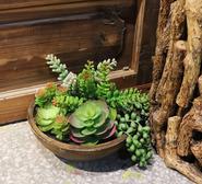 18Cm Succulent Bowl Artificial Plant Green