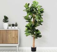 180Cm Baila Palm Tree Artificial Plant Green