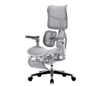 Elvo Ergonomic Office Chair Grey Large