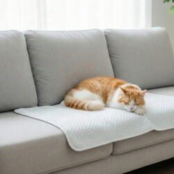 Blanket - White - Canningvale