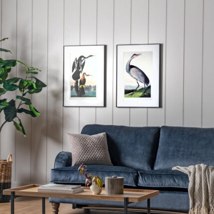 Gallery Interiors Set of 2 Lei Exotic Fowl Study Framed Wall Art Multicoloured