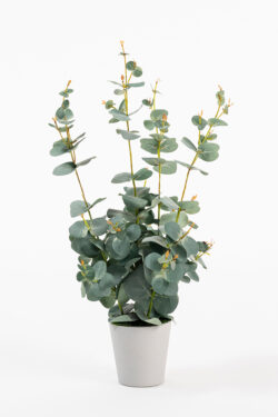 Potted Artificial Eucalyptus Plant