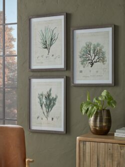 Three Botanical Wall Art Prints