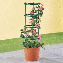 Easylife Plastic Planter With Trellis in Green, Size 10