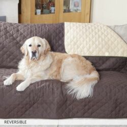 Easylife 3 Seat Sofa /beige Reversible Furniture in Brown