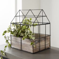 Planters and Plant Pots Online in UK