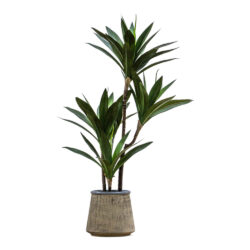 Gallery Interiors Raptis Potted Yucca Faux Plant