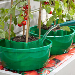 Easylife Hercul-Easy Plant Watering System in Cream/Green, Size Set of 3, Plastic