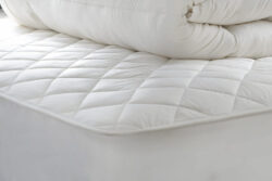 Hypnos Natural Mattress Protector, Single