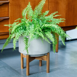 Ivyline Vigo Concrete Grey Planter with Stand / Small