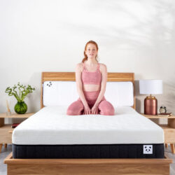 Panda Hybrid Mattress Pro - 3FT Single
