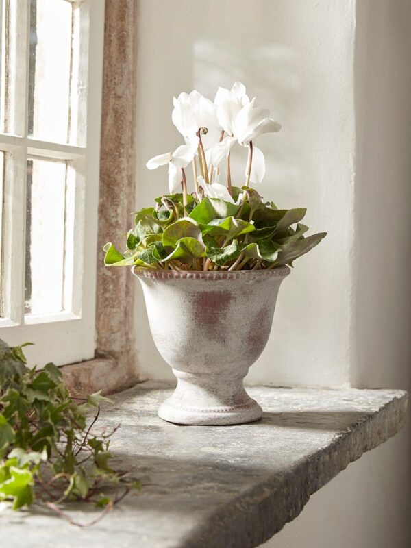 Aged Effect Ceramic Planter