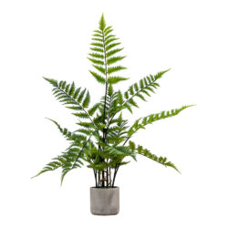 Gallery Interiors Kambiz Potted Fern in Cement Faux Plant Cream And Green / Small