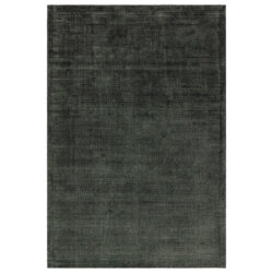 Aston Hand Woven Rug - Green / 120x170cm