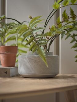 Cement Planter